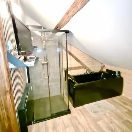 Podkrovni Wellness Blizko Centra Apartament *